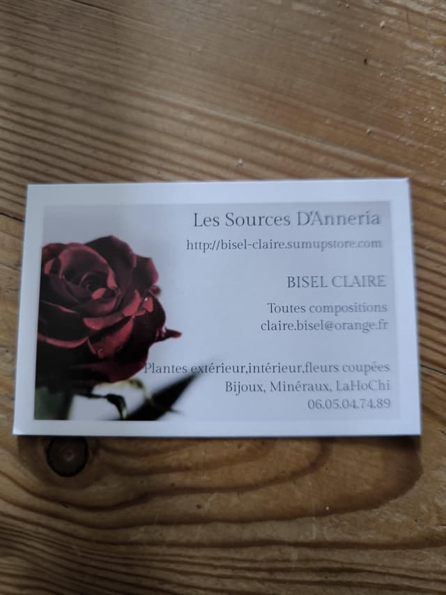 Fleuriste depuis 1995
Vente de plantes extérieur, jardin,cactus et succulentes 
Vente de fleurs coupées (toutes compositions) 
